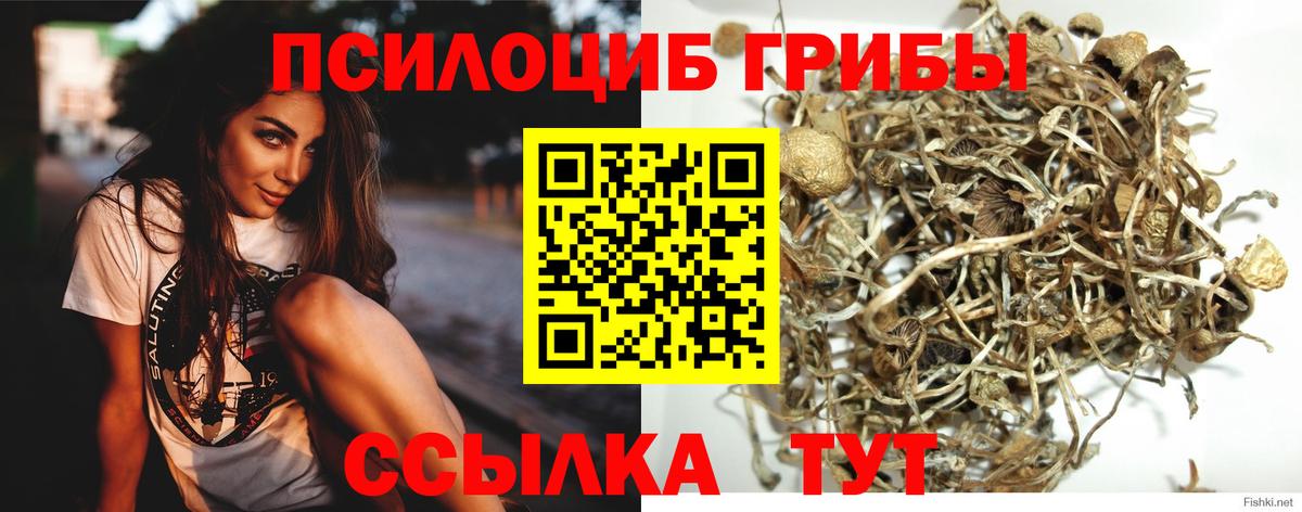 Псилоцибиновые грибы GOLDEN TEACHER  Псилоцибиновые грибы ЛСД  дарнет шоп  Вход с VPN  Аша 